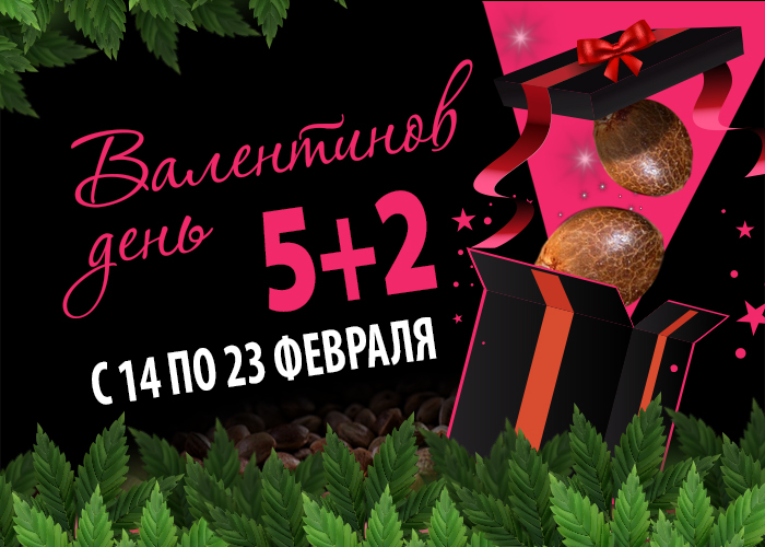 GanjaSeeds дарит всем бесплатные семена каннабиса
