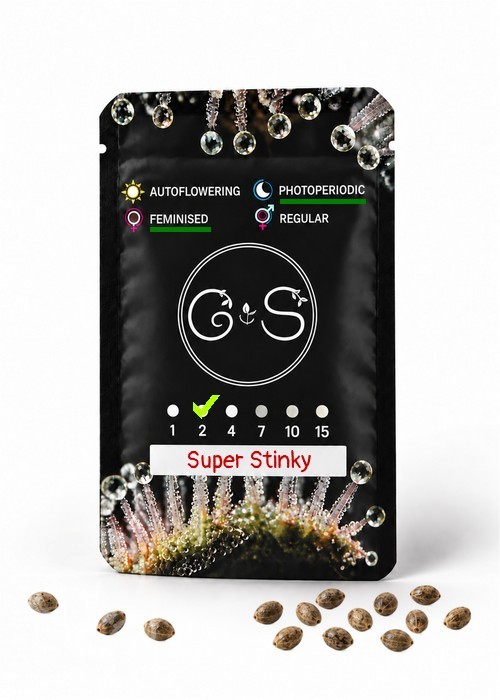 Семена ганжа Super Stinky feminised Ganja Seeds