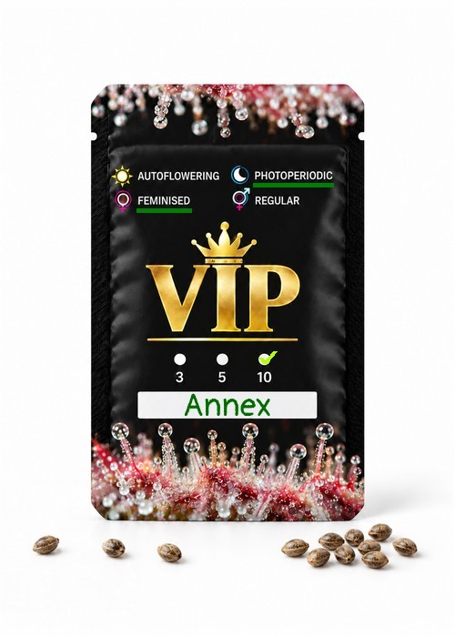 Семена конопли  Annex feminised GanjaVIP Seeds