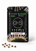 Cream 47 feminised Ganja Seeds