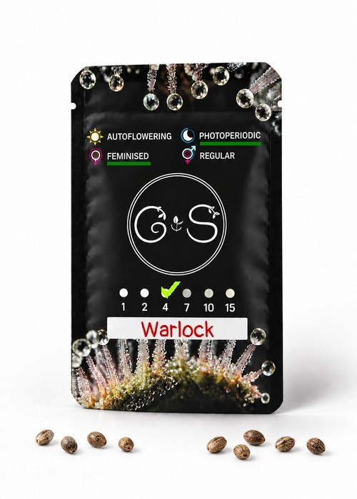 Семена ганжа  Warlock feminised Ganja Seeds