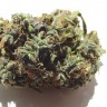Семена ганжа White Blueberry Pie feminised Ganja Seeds Семена ганжа White Blueberry Pie feminised Ganja Seeds