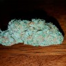 Семена марихуаны  Auto Hell's Angel OG feminised Ganja Seeds