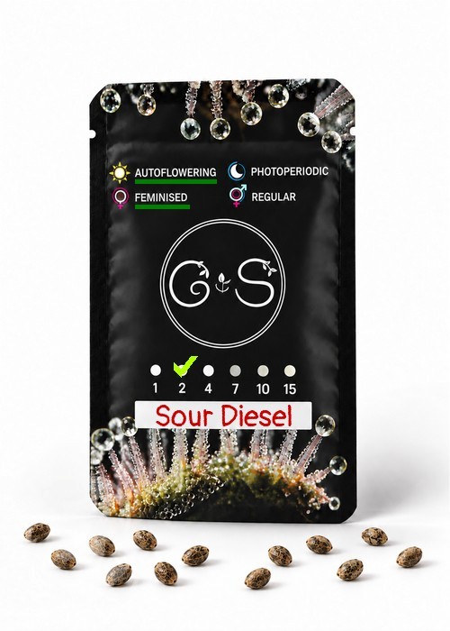 Семена каннабиса  Auto Sour Diesel feminised Ganja Seeds