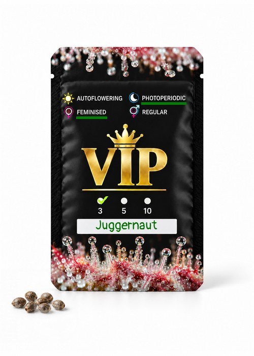 Семена конопли  Juggernaut feminised GanjaVIP Seeds