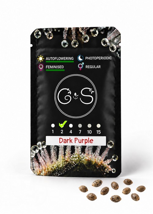 Семена каннабиса  Auto Dark Purple feminised Ganja Seeds