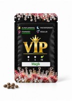 Auto Magik feminised GanjaVIP Seeds