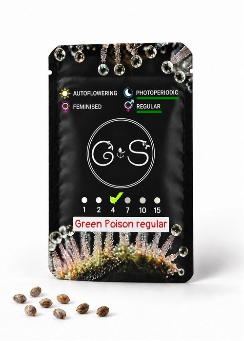 Семена конопли  Green Poison regular Ganja Seeds