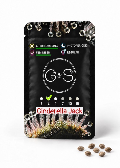 Семена ганжа  Auto Cinderella Jack feminised Ganja Seeds