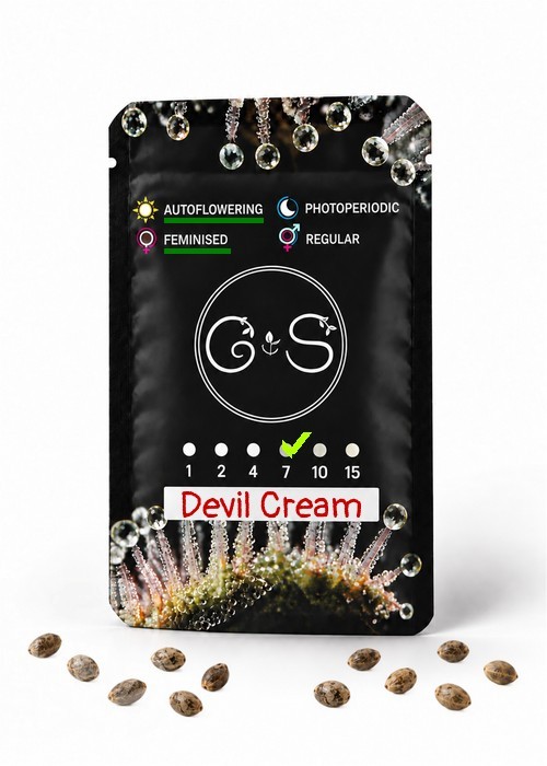 Семена конопли  Auto Devil Cream feminised Ganja Seeds
