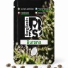 Burana