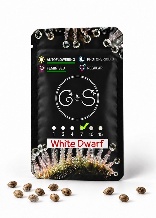 Семена конопли  Auto White Dwarf feminised Ganja Seeds