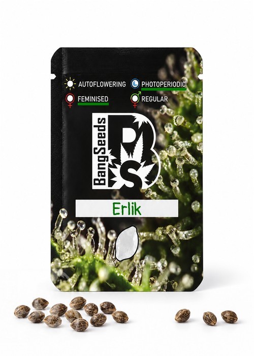 Семена ганжа  Erlik feminised Bang Seeds