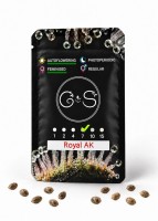 Auto Royal AK feminised Ganja Seeds