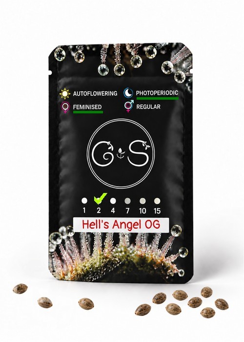 Семена  Hell's Angel OG feminised Ganja Seeds