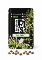 Karakum feminised Bang Seeds