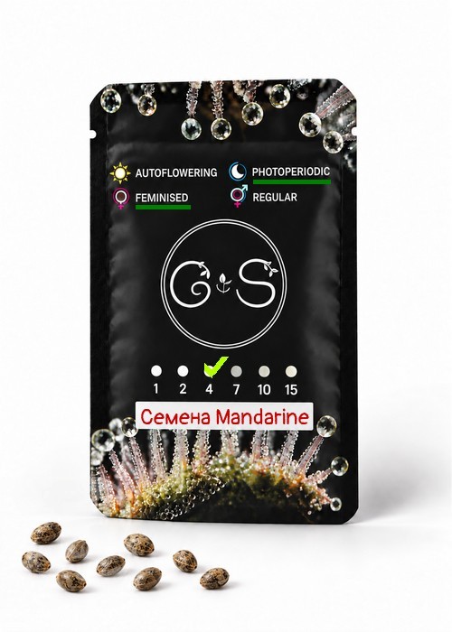 Семена  Семена Mandarine feminised Ganja Seeds