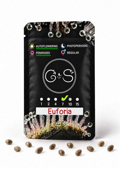 Семена ганжа  Auto Euforia feminised Ganja Seeds