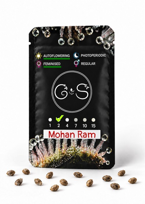 Семена Auto Mohan Ram feminised Ganja Seeds