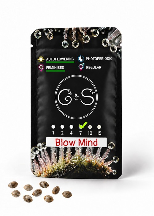 Семена марихуаны Auto Blow Mind feminised Ganja Seeds
