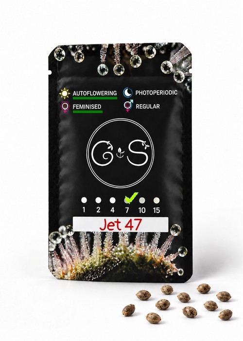 Семена ганжа  Auto Jet 47 feminised Ganja Seeds