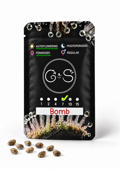 Семена марихуаны  Auto Bomb feminised Ganja Seeds