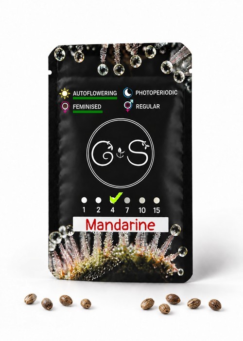 Семена  Auto Mandarine feminised Ganja Seeds