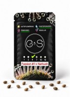 Passion #1 x Narkush feminised Ganja Seeds
