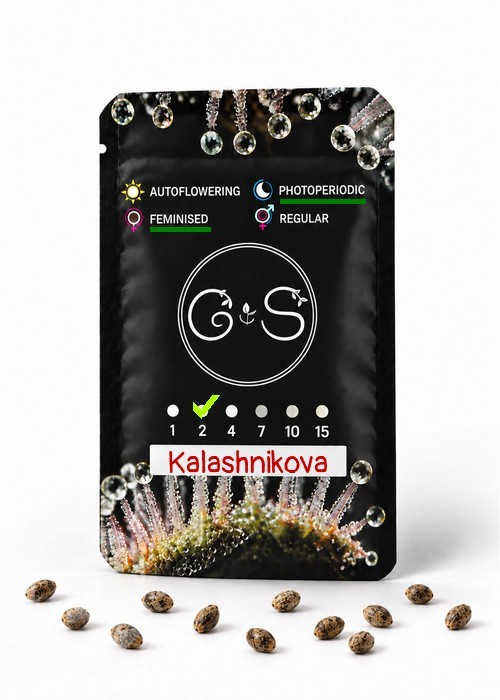 Семена конопли  Kalashnikova feminised Ganja Seeds