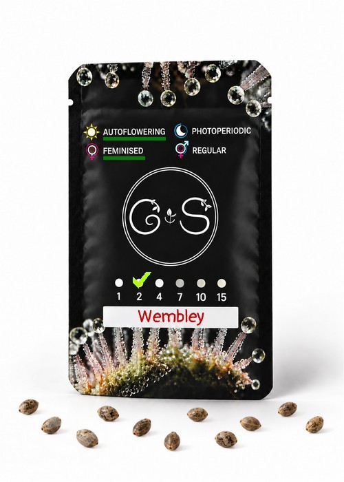 Семена ганжа  Auto Wembley feminised Ganja Seeds