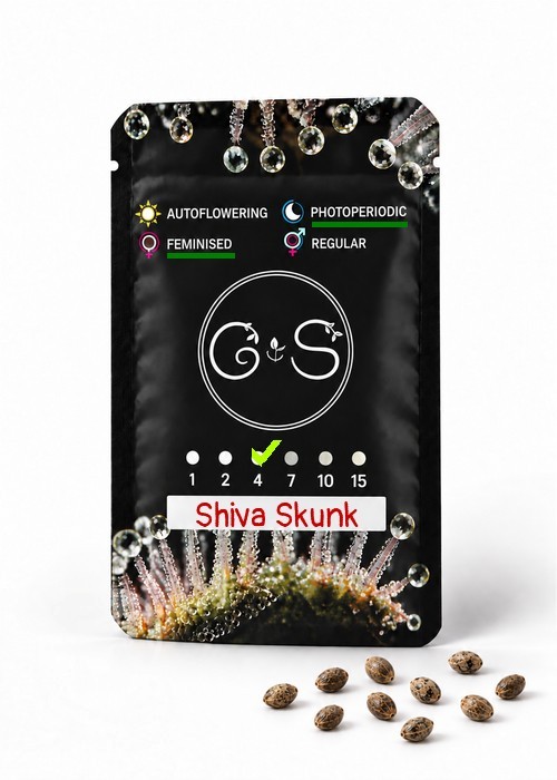 Семена  Shiva Skunk feminised Ganja Seeds