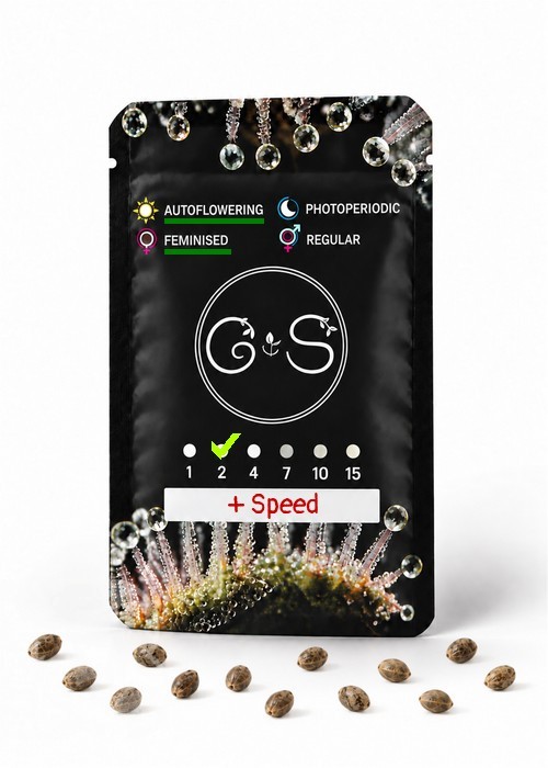 Семена конопли  Auto + Speed feminised Ganja Seeds