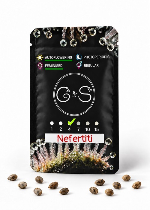 Семена ганжа  Auto Nefertiti feminised Ganja Seeds