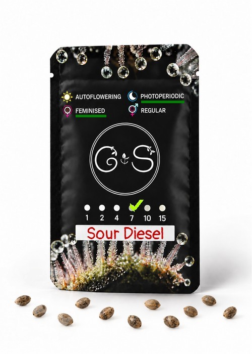 Семена конопли  Sour Diesel feminised Ganja Seeds