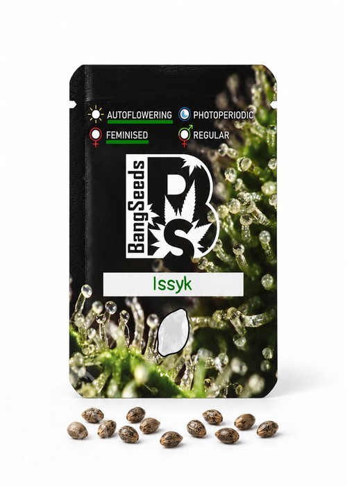 Семена ганжа  Auto Issyk feminised Bang Seeds