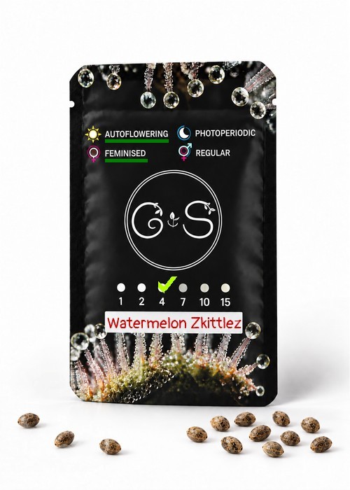 Auto Watermelon Zkittlez feminised Ganja Seeds