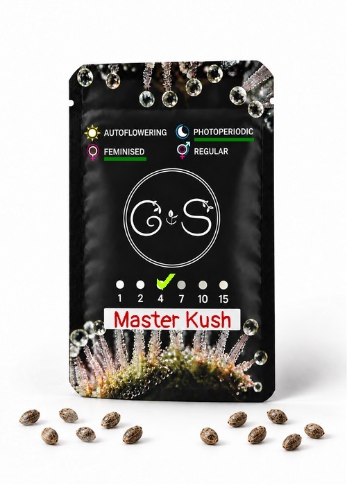 Семена  Master Kush feminised Ganja Seeds
