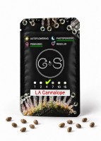 LA Cannalope feminised Ganja Seeds