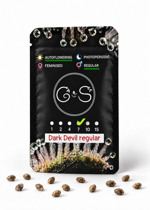 Семена конопли  Auto Dark Devil regular Ganja Seeds