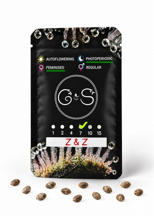 Семена  Z & Z feminised Ganja Seeds