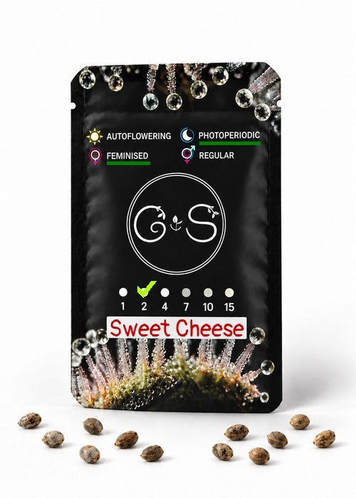 Семена ганжа  Sweet Cheese feminised Ganja Seeds