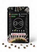 Auto Black Domina feminised Ganja Seeds
