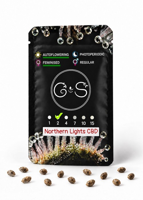 Семена Auto Northern Lights CBD feminised Ganja Seeds