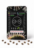Gorilla Girl feminised Fast Version Ganja Seeds