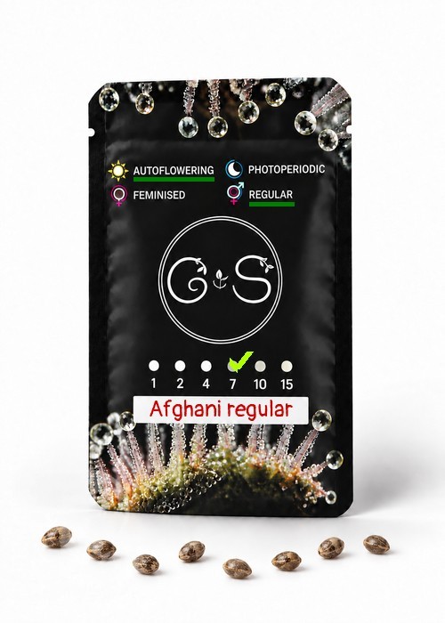 Семена марихуаны  Auto Afghani regular Ganja Seeds