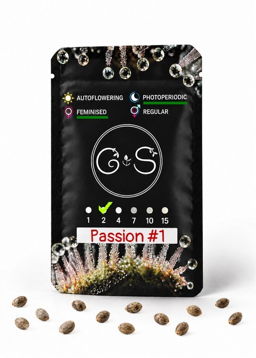 Семена каннабиса  Passion #1 feminised Ganja Seeds