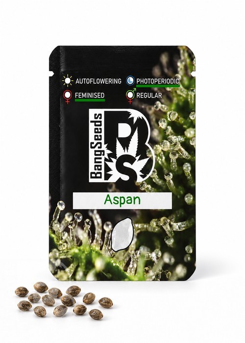Семена конопли  Aspan feminised Bang Seeds