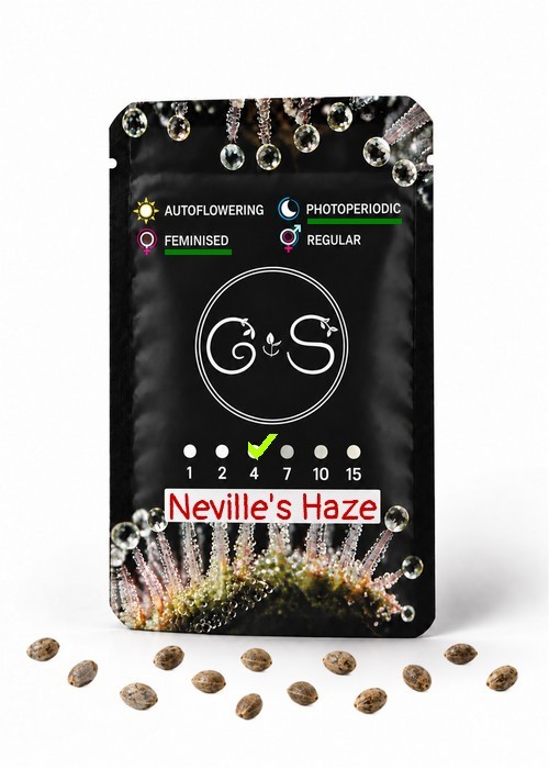 Семена  Neville's Haze feminised Ganja Seeds
