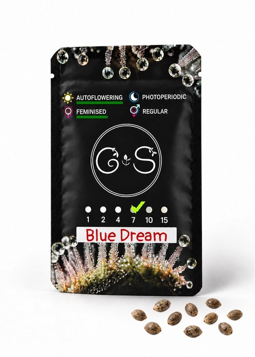 Семена ганжа  Auto Blue Dream feminised Ganja Seeds