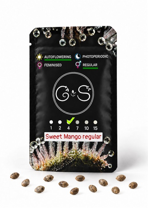 Семена конопли  Auto Sweet Mango regular Ganja Seeds